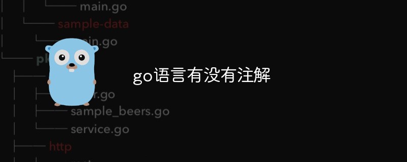 go语言有没有注解