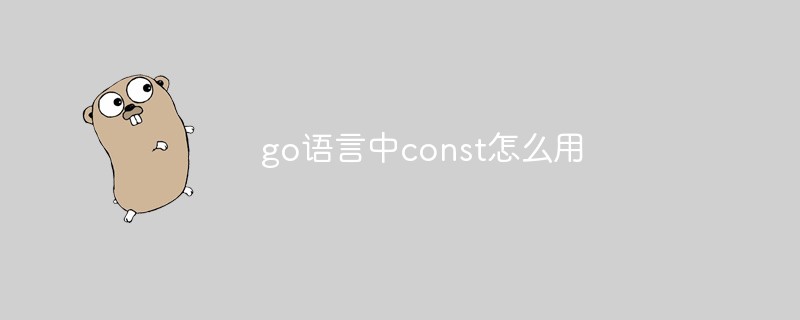 go语言中const怎么用