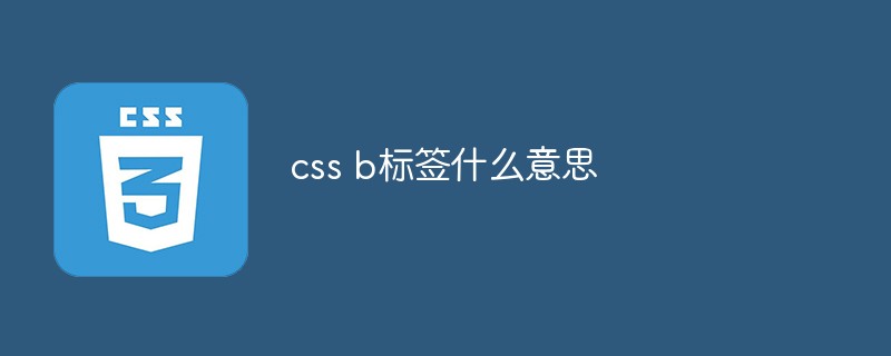 css b标签什么意思