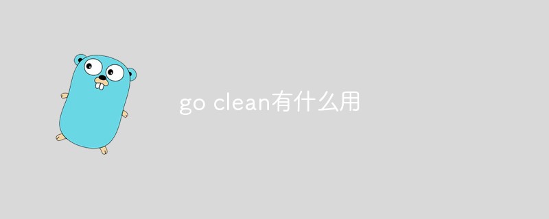 go clean有什么用