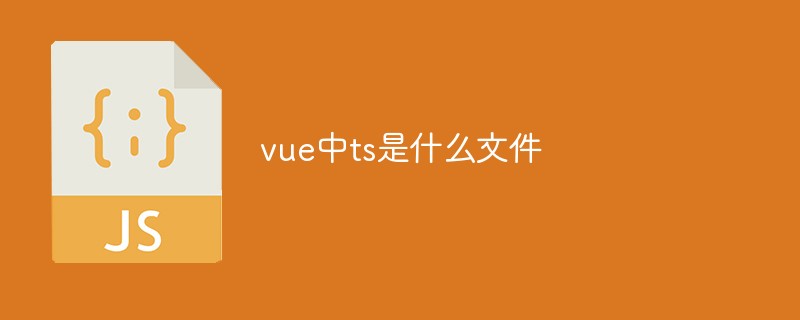 vue中ts是什么文件