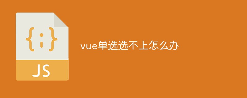 vue单选选不上怎么办