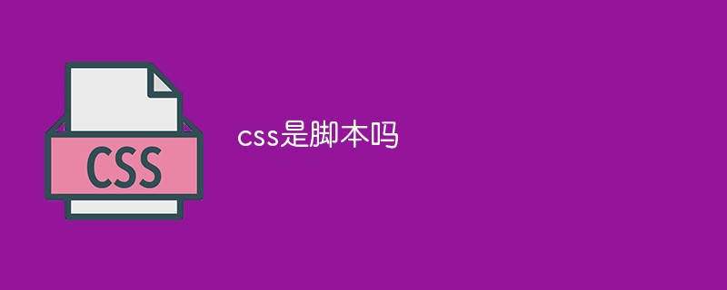 css是脚本吗