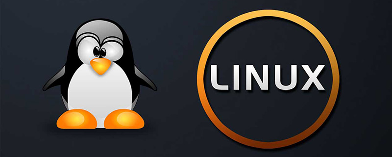 Linux文件类型颜色的含义是什么