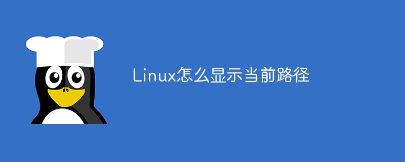 Linux怎么显示当前路径