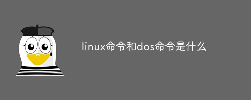 linux命令和dos命令是什么