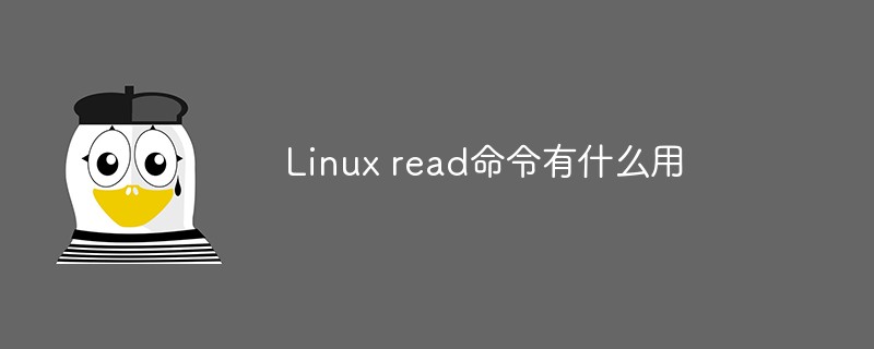 Linux read命令有什么用