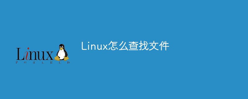 Linux怎么查找文件