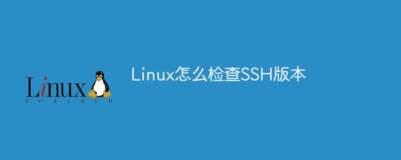 Linux怎么检查SSH版本