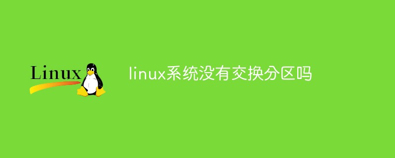 linux系统没有交换分区吗