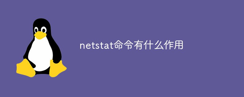 netstat命令有什么作用
