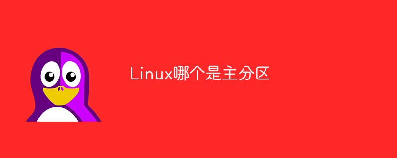 Linux哪个是主分区