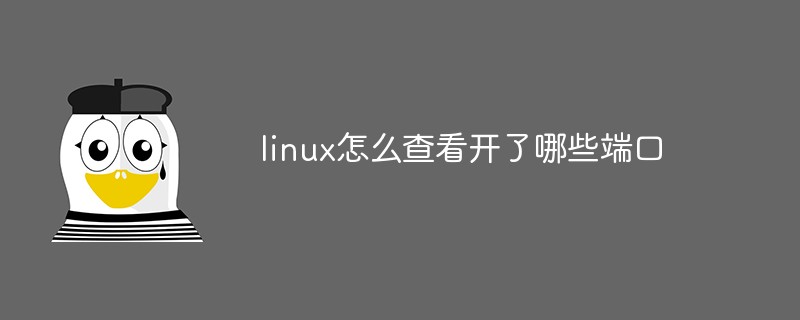 linux怎么查看开了哪些端口