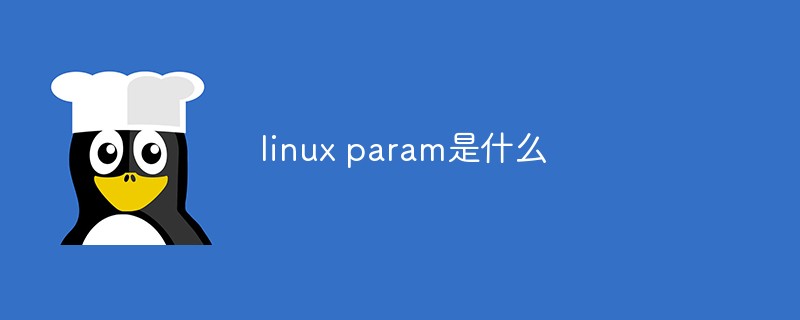 linux param是什么