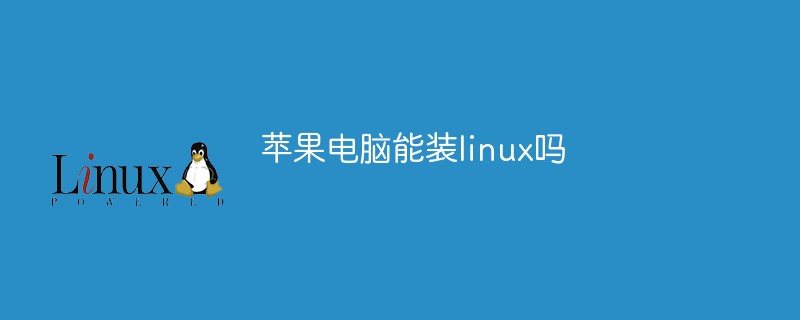 苹果电脑能装linux吗