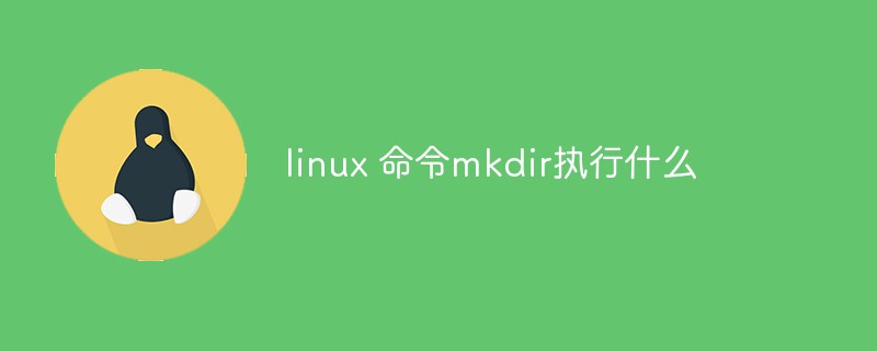 linux 命令mkdir执行什么