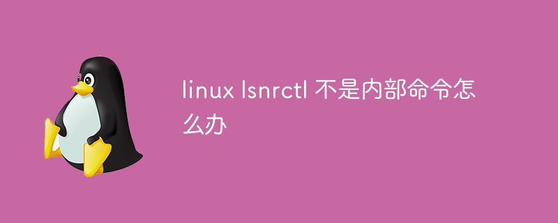 linux lsnrctl 不是内部命令怎么办